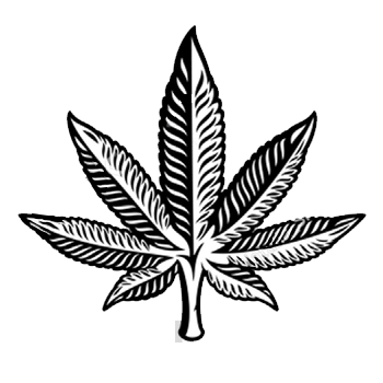 Indica Cannabis Leaf