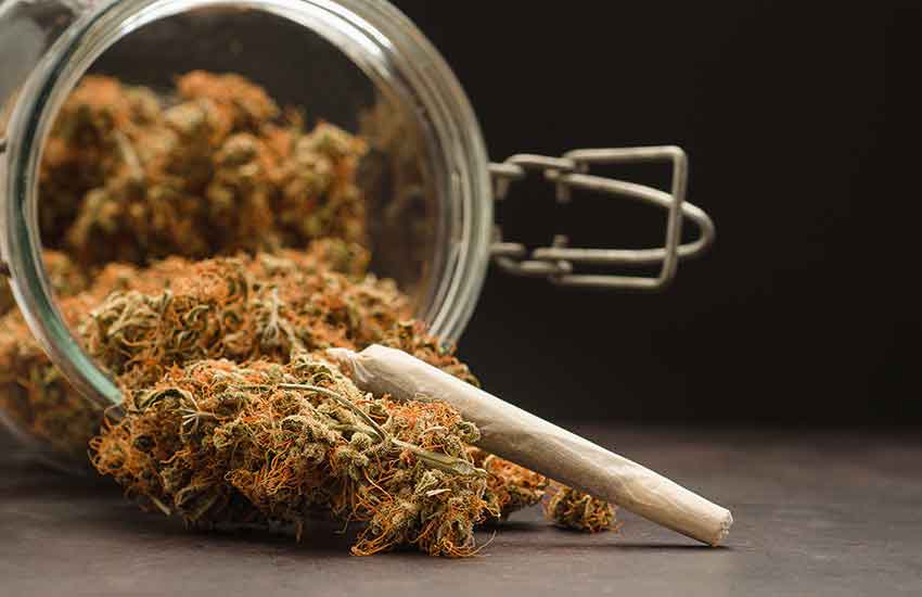 Premium Pre-Rolls at Spring Lake Park Dispensary Minnesota