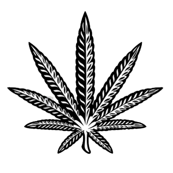 Sativa Cannabis Leaf