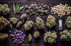 Spring-Lake-Park-Dispensary-Cannabis