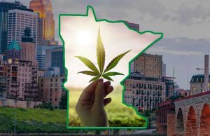 MN-Cannabis-Possession-Limits